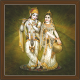 Radha Krishna Paintings (RK-2342)